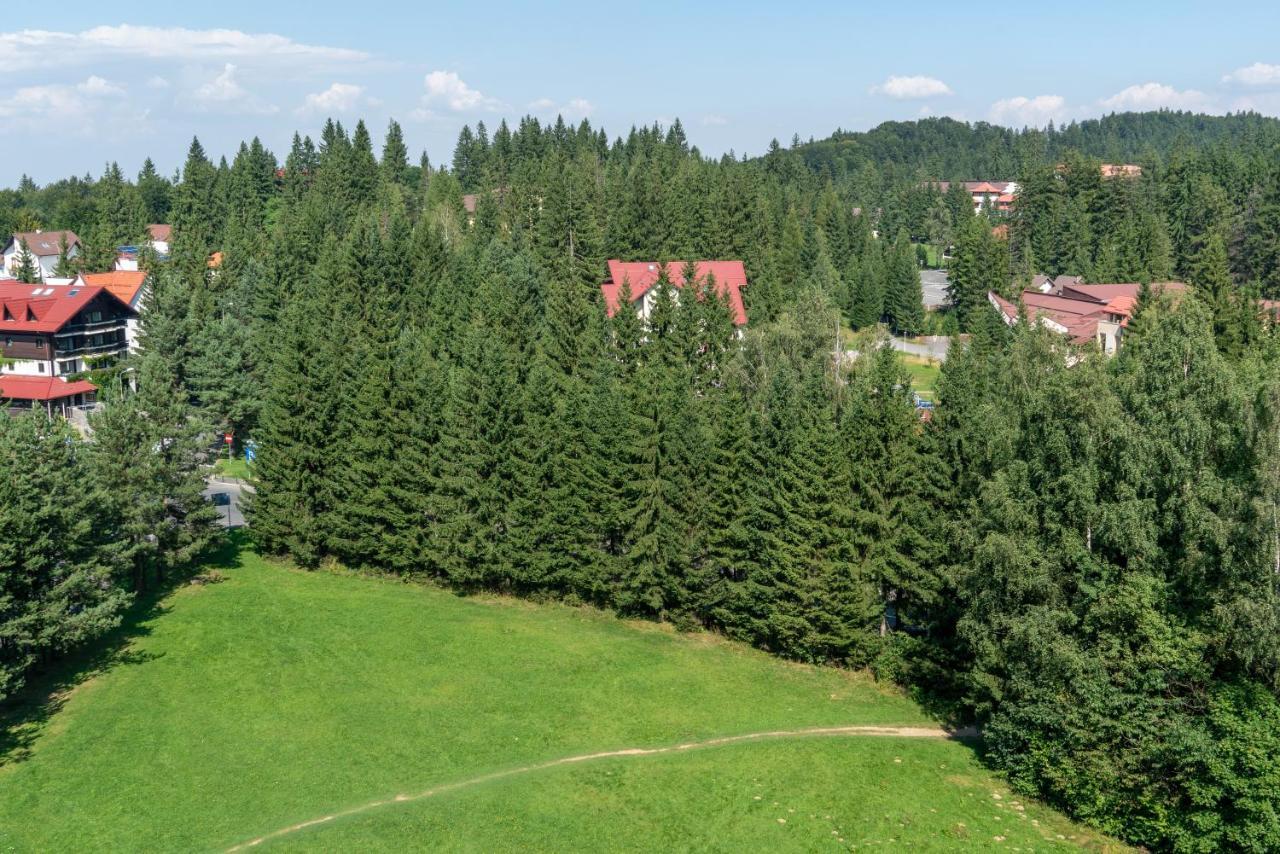 Apartament Executive Vedere Munte Alpin Resort Poiana Brasov Εξωτερικό φωτογραφία